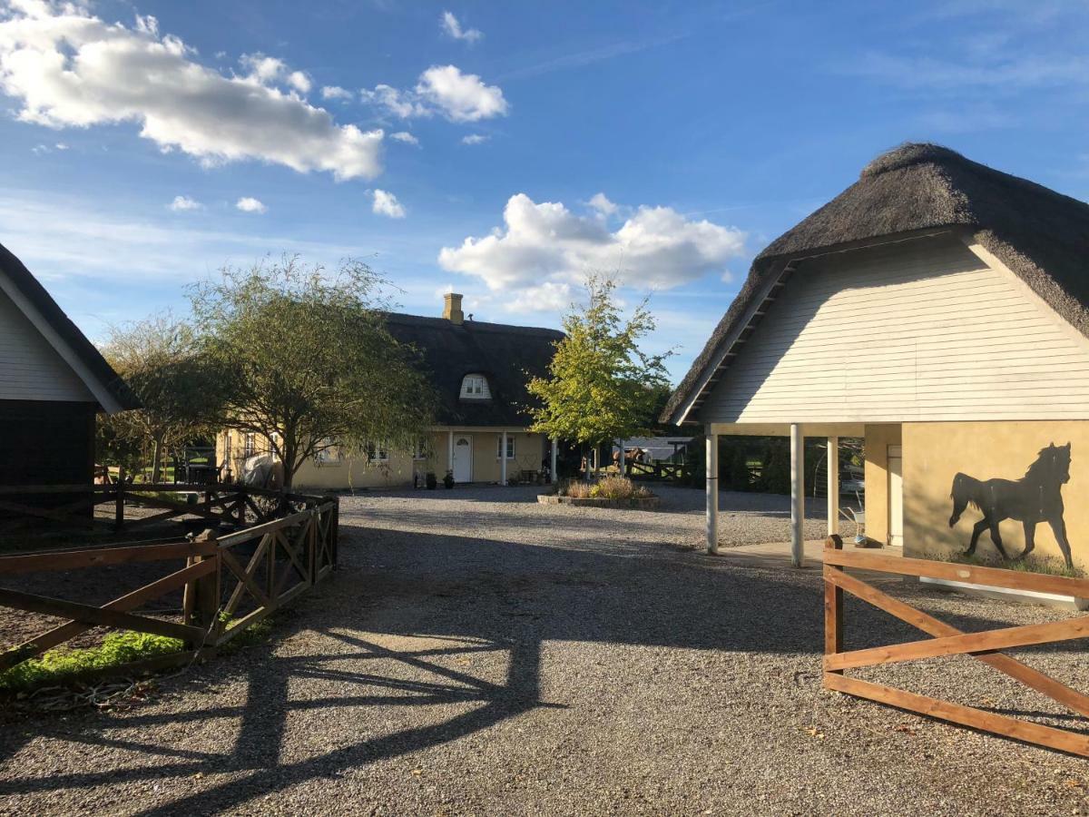 Anneks V/Stevns Klint Hotel Store Heddinge Exterior photo